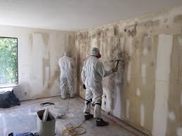 Biohazard Mold Removal in Kenmore, WA